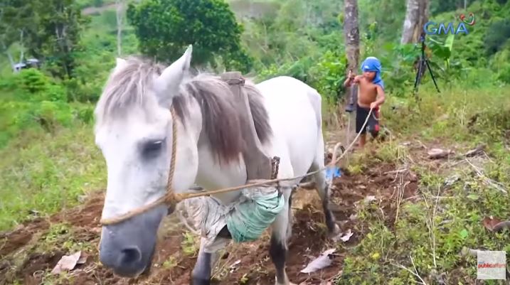 10-year-old boy in Sultan Kudarat