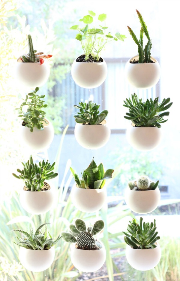 41+ Popular Ideas Keeping House Plants Small