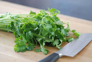 What Are The Health Benefits Of Cilantro - Remedyshops