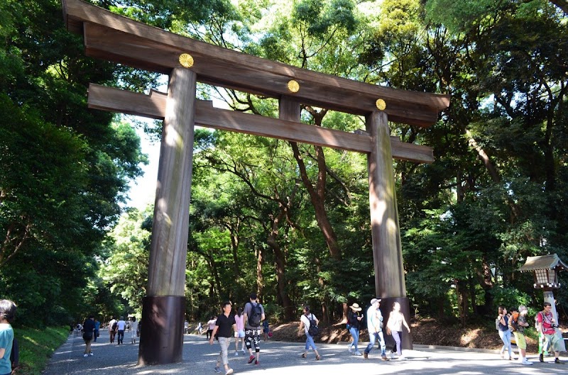 Best Areas for Cycling in Japan