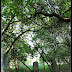 Cmentarz ewangelicki we Wróblińcu /Wróbliniec old cemetery