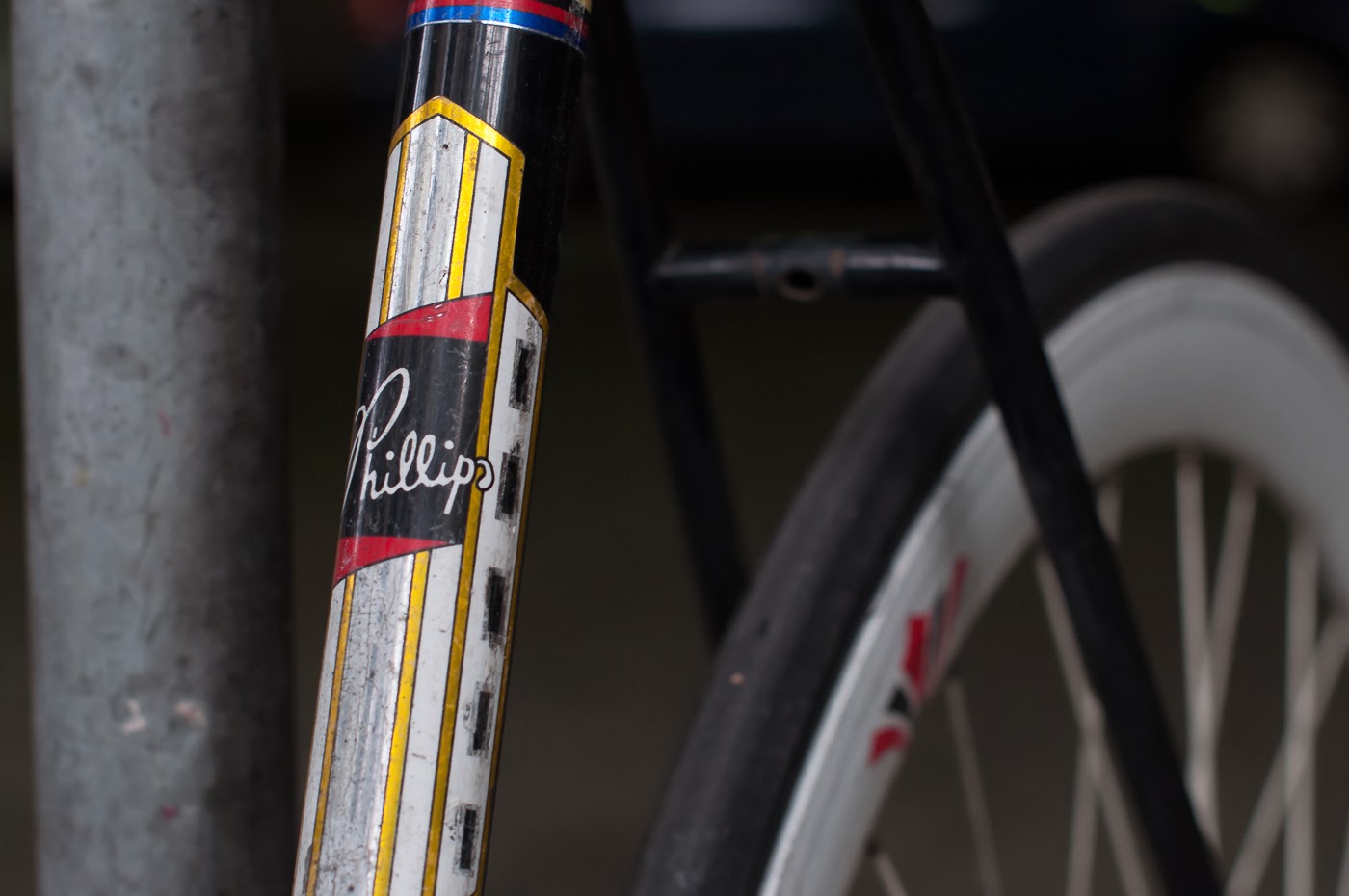 single speed, bike, bicycle, tim macauley, the biketorialist, melbourne, road bike, conversion,  custom, phillips, vintage, decal, sticker, logo, seat tube 