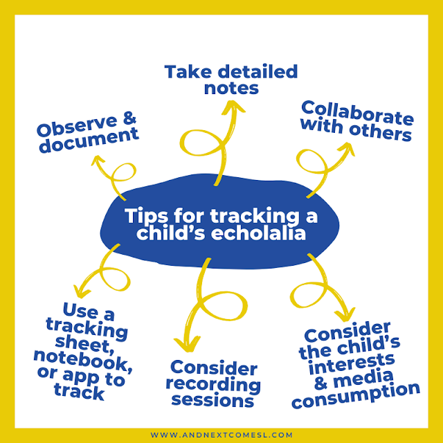 Basic tips for tracking a child's echolalia and scripts