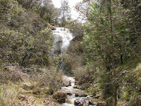 Senderismo - Puntasa - Cascadas - Cuevas y Árboles