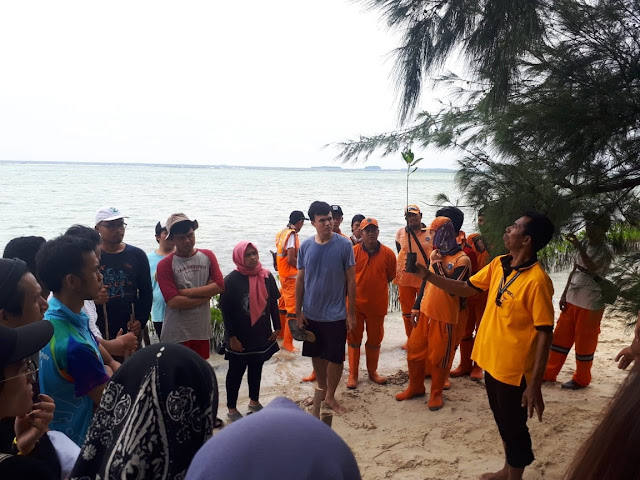 penanaman mangrove