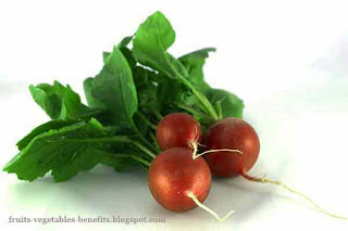 benefits_of_eating_radishes_fruits-vegetables-benefits.blogspot.com(benefits_of_eating_radishes_3)