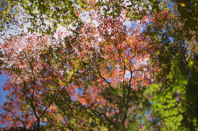 昇仙峡紅葉