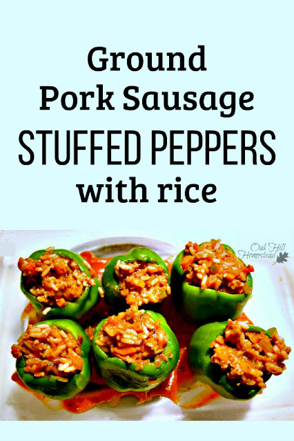 Ground pork sausage stuffed green peppers with rice