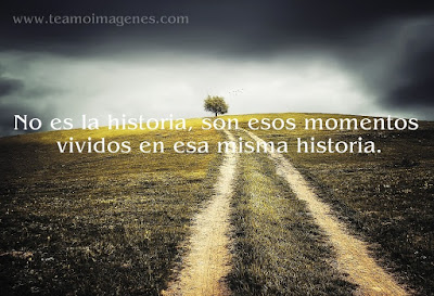 Frases desmotivadoras ¡LAS MEJORES!