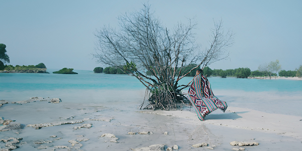 Keabadian yang Mati: Kisah Pohon di Pulau Pasir Putih