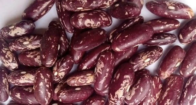 rosecoco-beans,