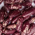 Rosecoco Beans Farming in Kenya 2023 | Veg Farms Kenya