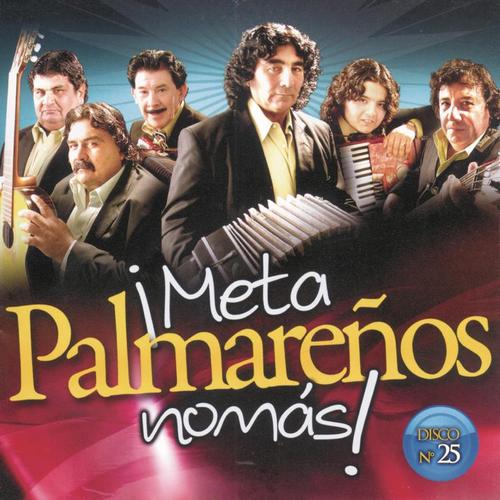 Los Palmareños - Meta Nomas (2008)