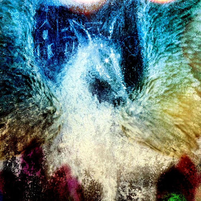 Magickal Beasts Crypto Art Collection