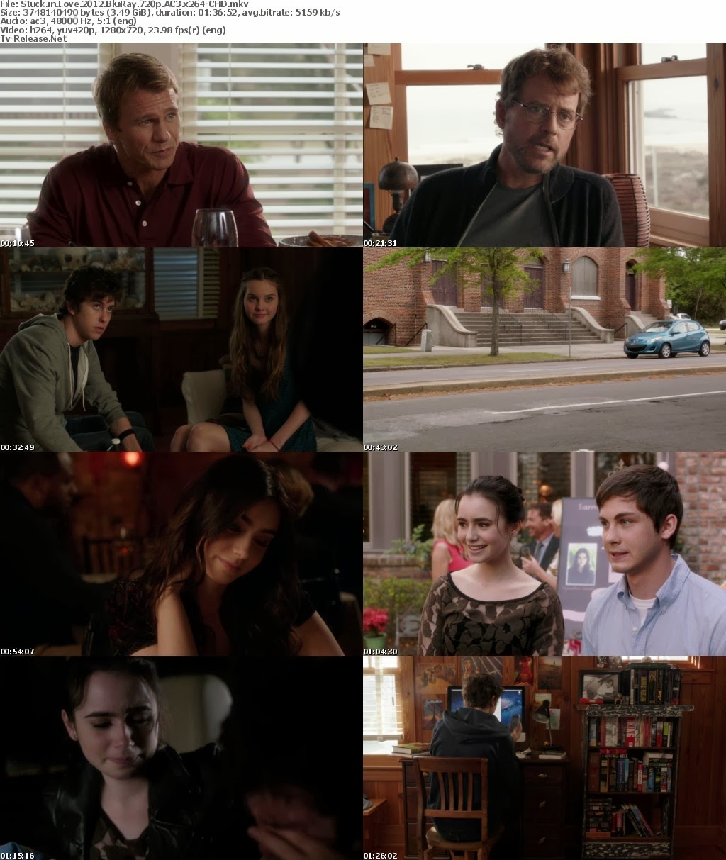 Stuck In Love (2012) BluRay 720p - Profile Biografi Film 