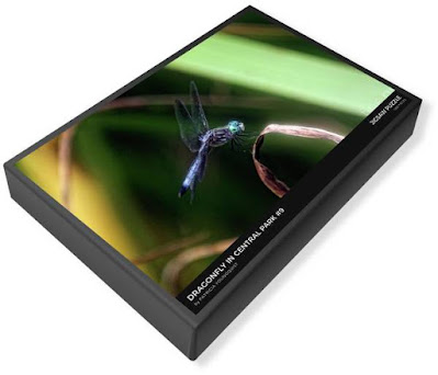 This image of my puzzle's (“Dragonfly #9”) packaging is from Fine Art America @  https://fineartamerica.com/featured/dragonfly-in-central-park-9-patricia-youngquist.html?product=puzzle&puzzleType=puzzle-20-28