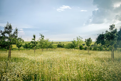 Protection of natural resources