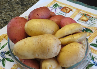 Potato Harvest May 2013