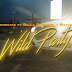 VIDEO : Krizbeatz Ft. Bella Shmurda x Rayvanny – Wild Party 