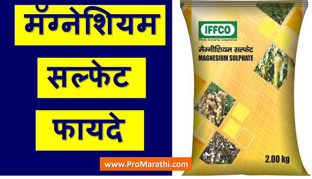 Magnesium Sulphate Uses in Marathi