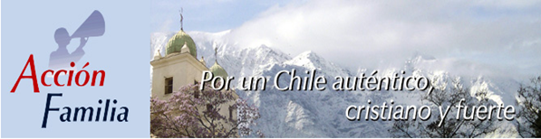 accion familia