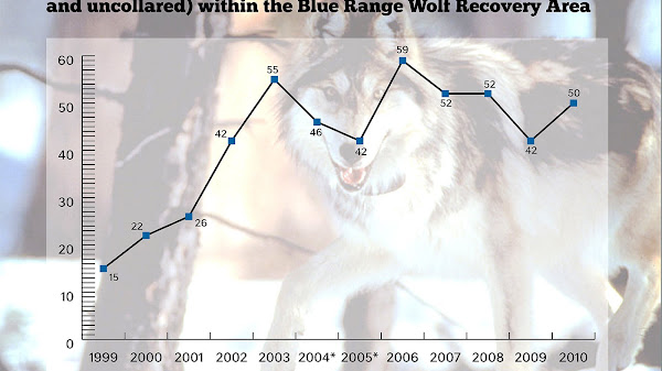 How Did The Gray Wolf Became Endangered