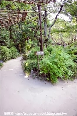 IMGP0286