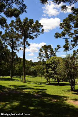 Lapa, Paraná, mata do urubu, natureza, conservação ambiental, natureza, preservação ambiental, meio ambiente