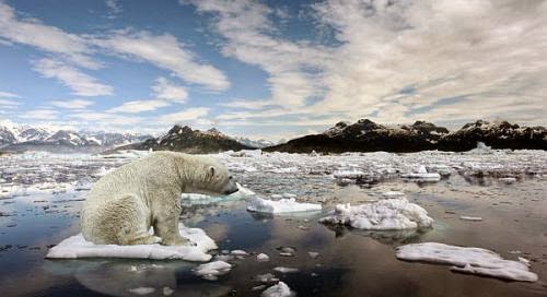 Renewable Energy Generation Will Soon Surpass Conventional Methods