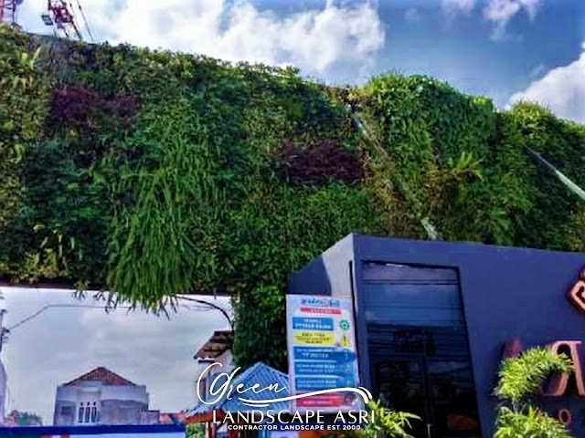 Jasa Vertical Garden (Green Wall di Bombana)