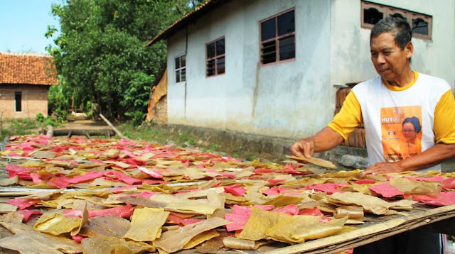 12 Contoh Peluang Usaha yang Menjanjikan di Desa