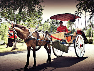  Postingan kali ini saya buat untuk adik  Transportasi Tradisional/Kuno , Cikar, Andong, Bendi, Delman,dan Dokar.