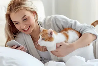 Woman checking her phone with cat