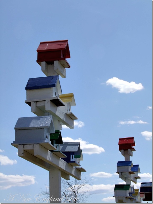 Birdhouses sky view