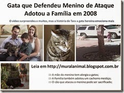 Gata que Defendeu Menino de Ataque_thumb[1][3]