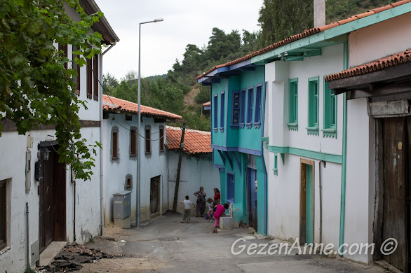 Misi Köyü'nün renkli tarihi evleri, Bursa