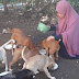 Wanita Herhijab Kritik Gara-gara Beri Makan Anjing
