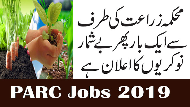 Pakistan Agriculture Research Council New Jobs 2019  | PARC Jobs January 2019