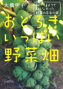 おどろきいっぱい野菜畑