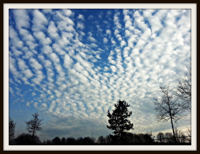 Fluffy clouds against a blue sky. 