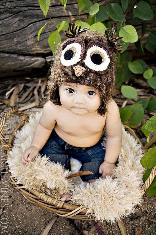 owl-everything-13