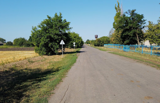 Новопідгородне. Вулиця Центральна