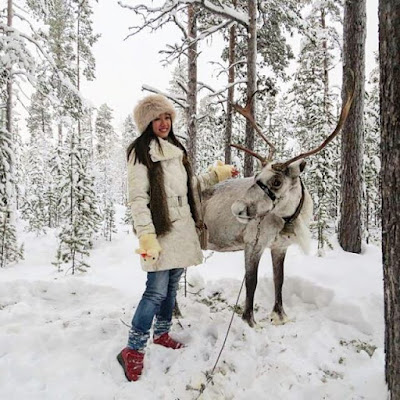 Reindeer Encounter in Husky Park, Murmansk