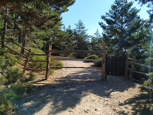 Subida al Peñalara . Techo de Madrid y Segovia. Parque Nacional de Guadarrama