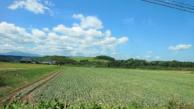 北海道 富良野