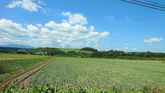 北海道 富良野