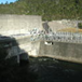 View album