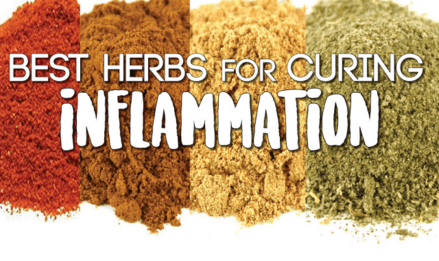 Best Herbs for Curing Inflammation Fast