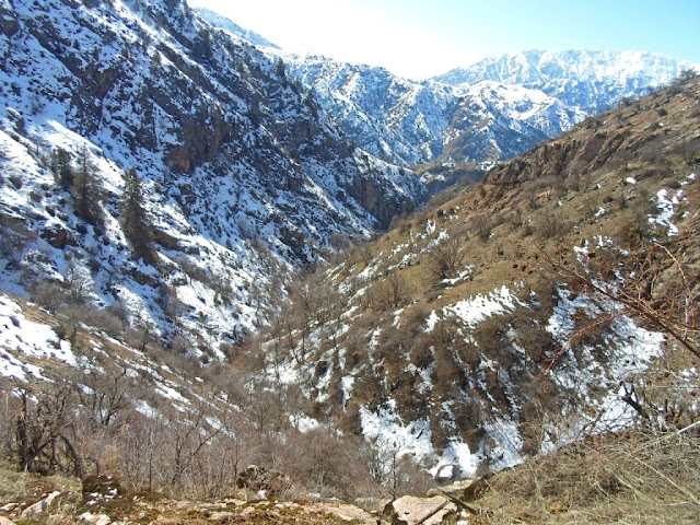 Hiking to the waterfalls in the Voru Gorge, Odzhuk Mountains, Varzob District, Tajikistan
