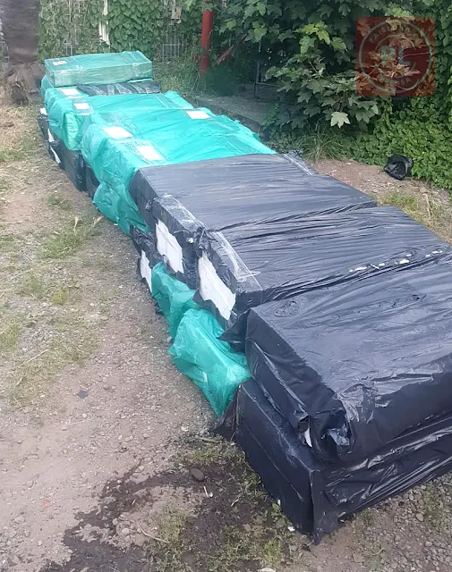 Incautación de 21 cajas de pescados sin acreditación en un bus en Osorno